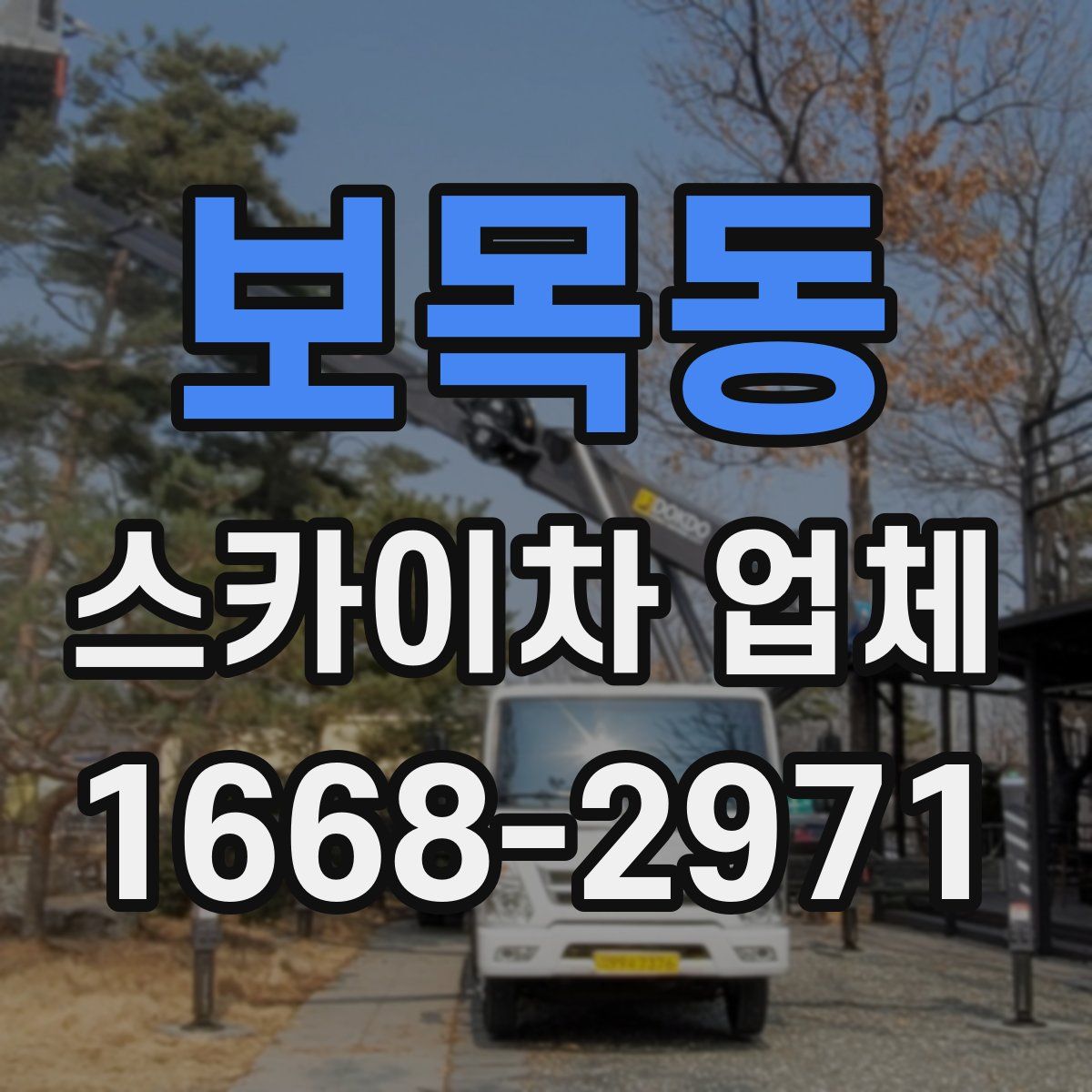 보목동 스카이차 업체