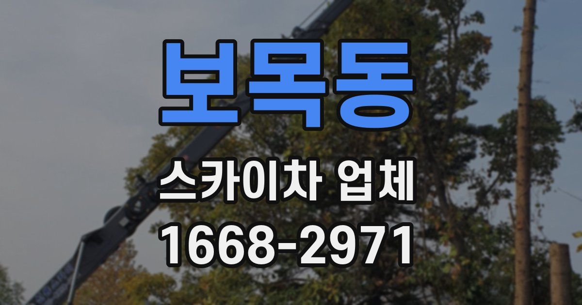 보목동 스카이차 업체
