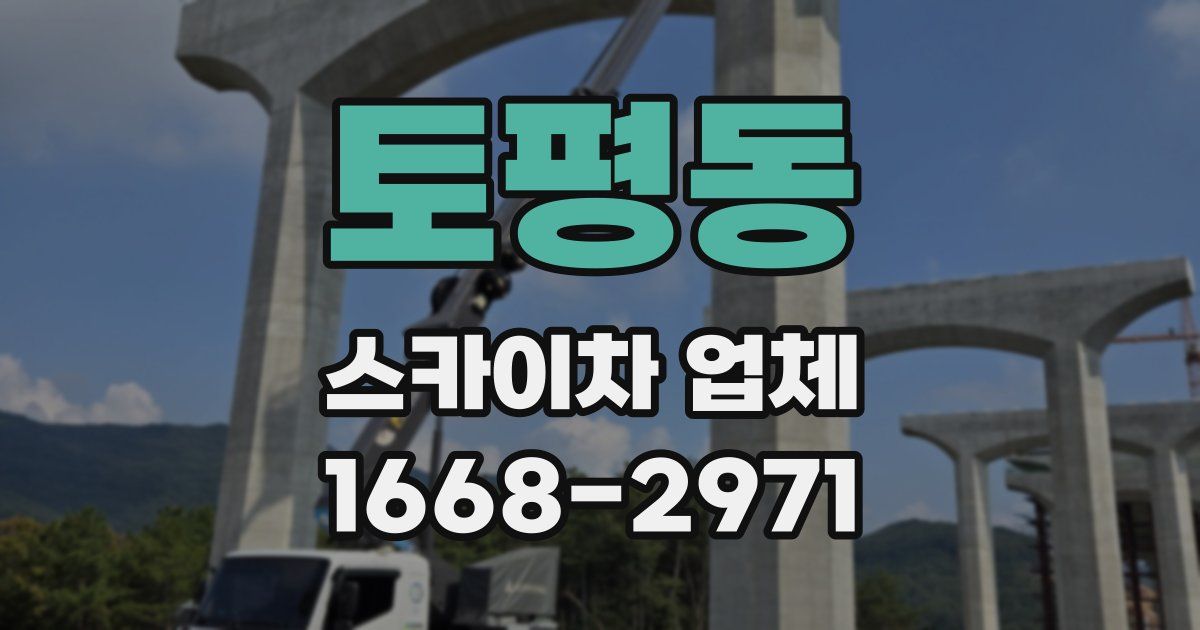 토평동 스카이차 업체