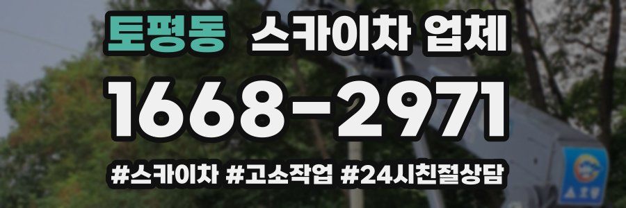 토평동 스카이차 업체