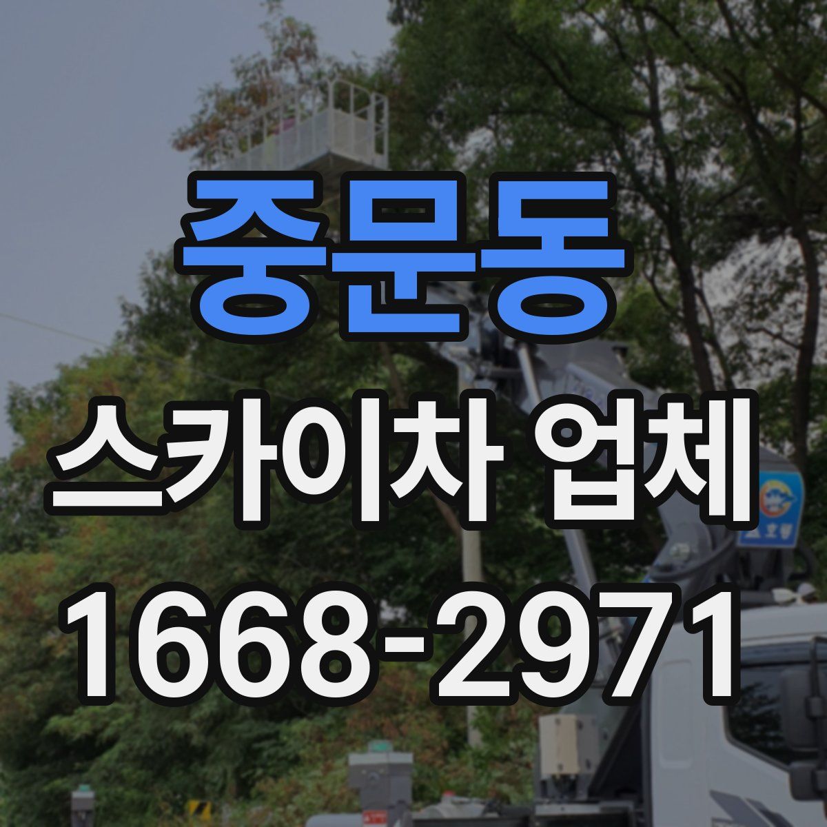 중문동 스카이차 업체