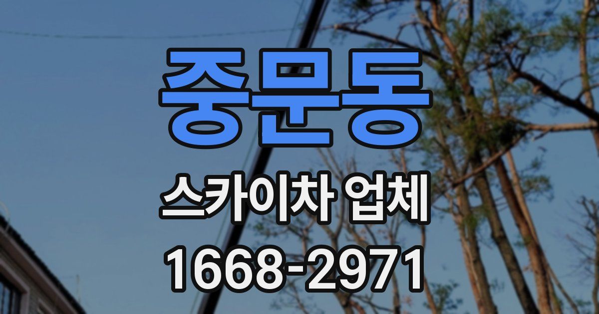 중문동 스카이차 업체