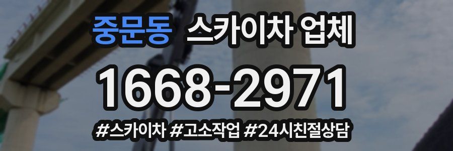 중문동 스카이차 업체