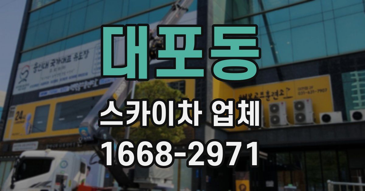 대포동 스카이차 업체
