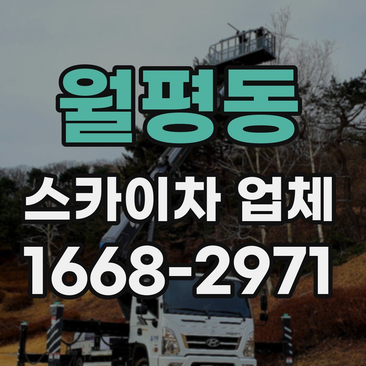 월평동 스카이차 업체