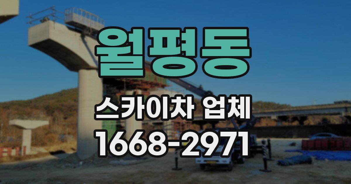 월평동 스카이차 업체