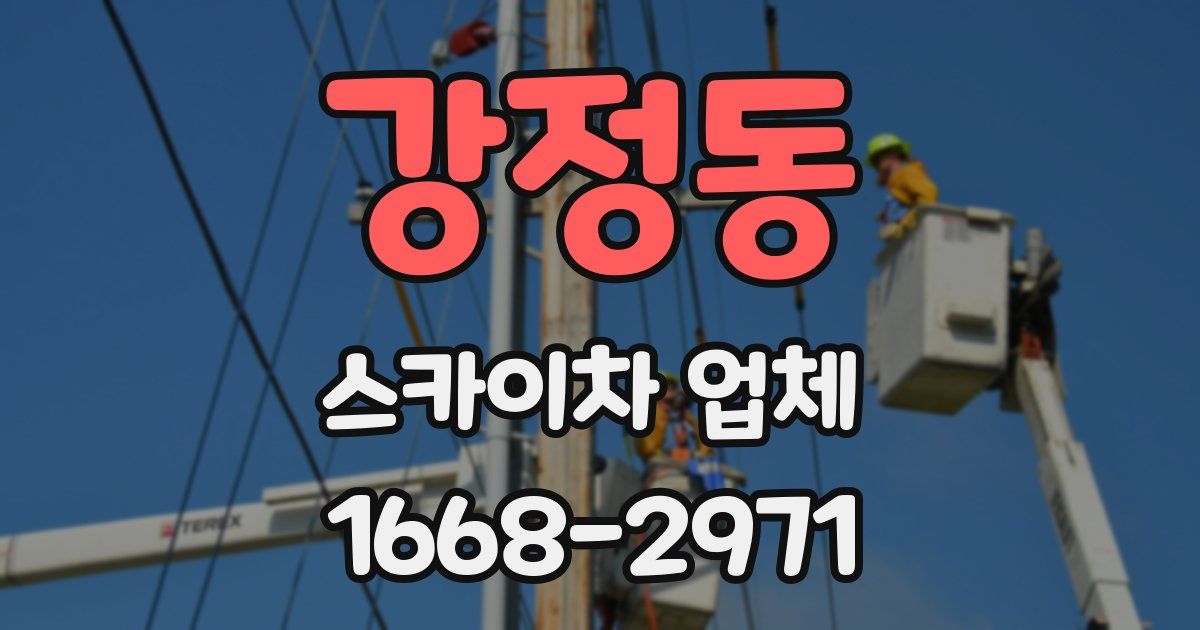 강정동 스카이차 업체