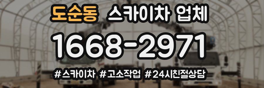 도순동 스카이차 업체