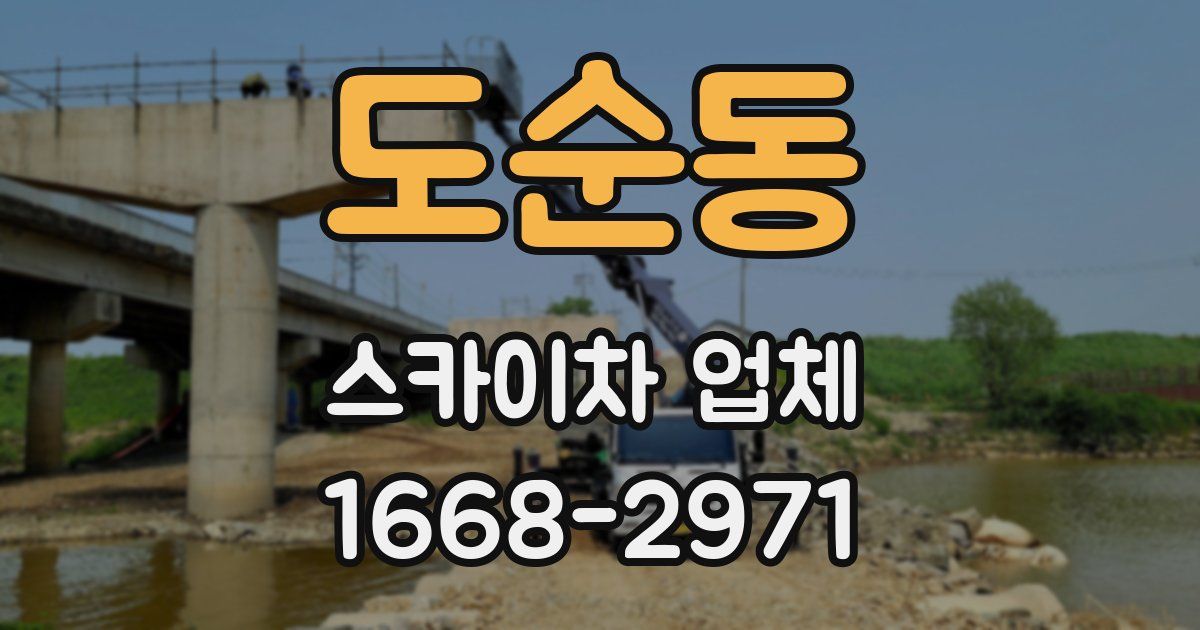 도순동 스카이차 업체