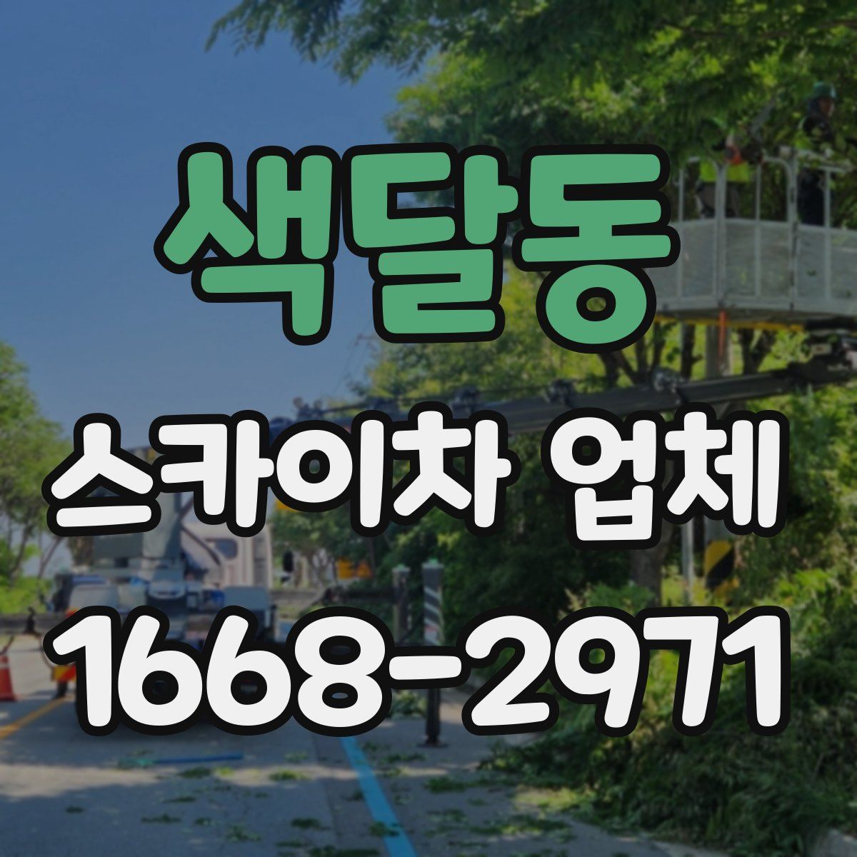 색달동 스카이차 업체