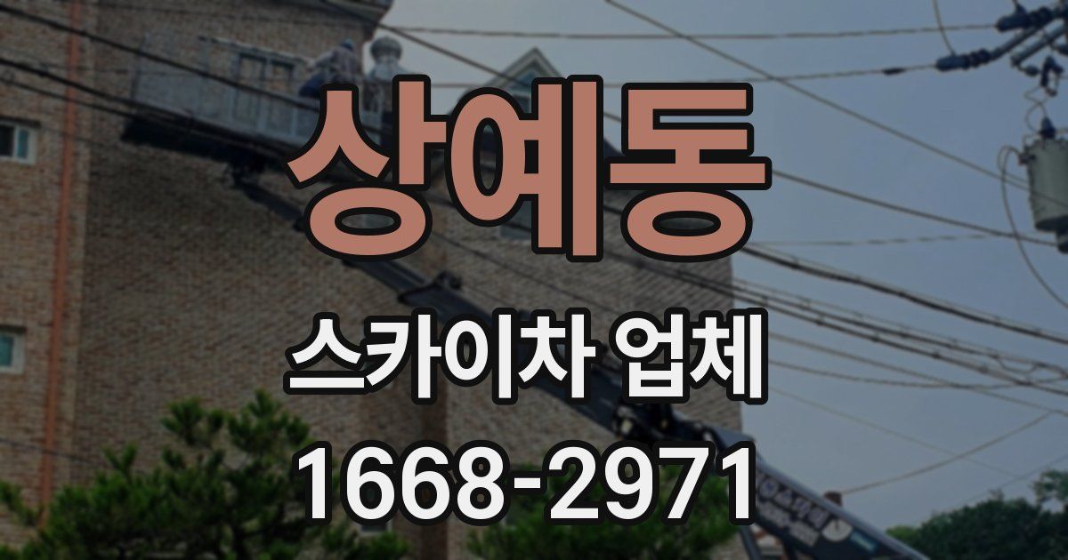 상예동 스카이차 업체