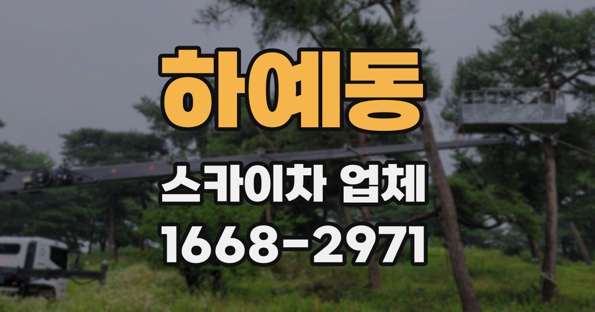 하예동 스카이차 업체