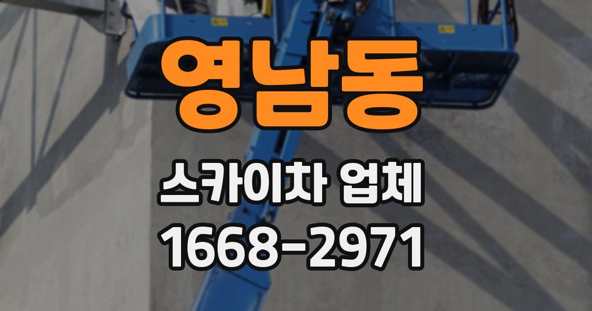 영남동 스카이차 업체