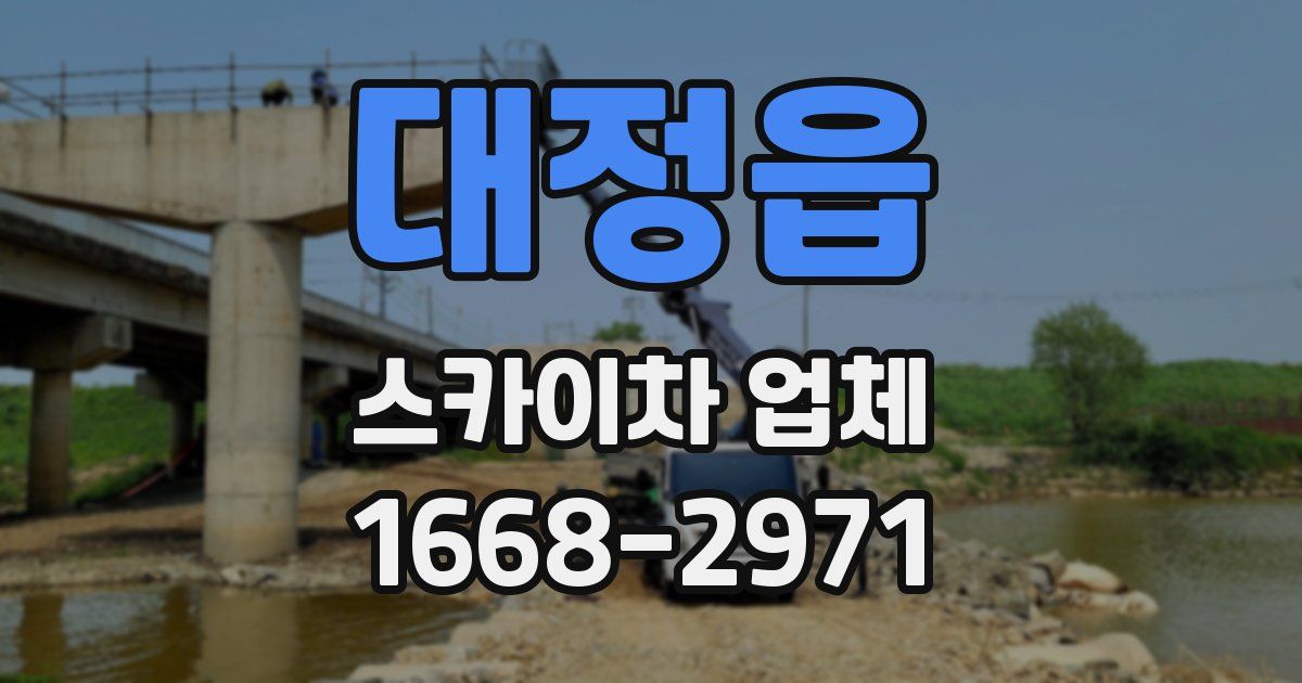 대정읍 스카이차 업체