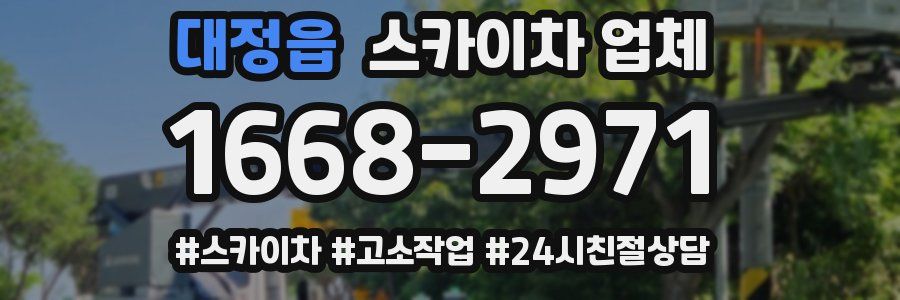 대정읍 스카이차 업체