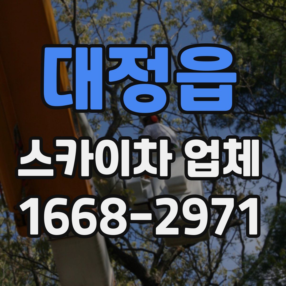 대정읍 스카이차 업체