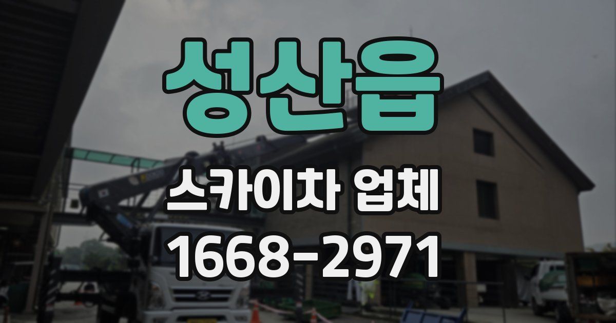 성산읍 스카이차 업체