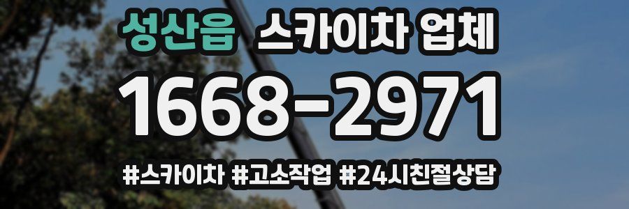 성산읍 스카이차 업체