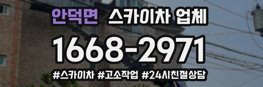 안덕면 스카이차 업체