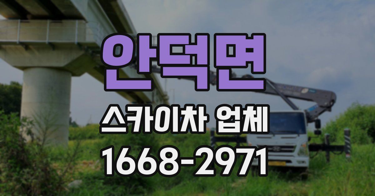안덕면 스카이차 업체