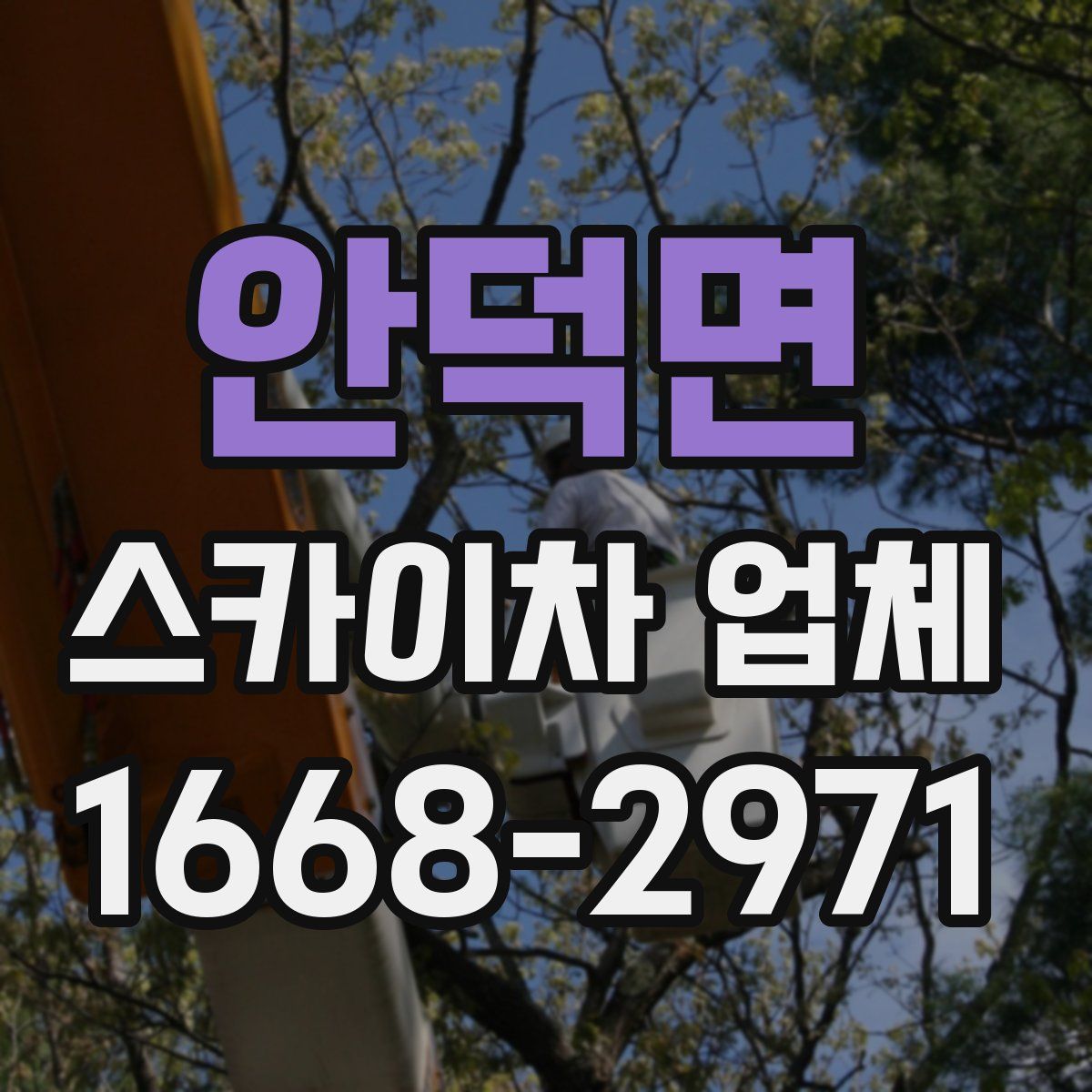 안덕면 스카이차 업체