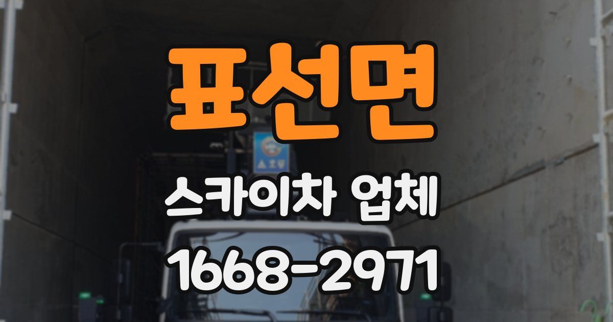표선면 스카이차 업체