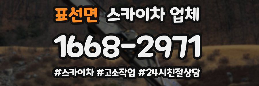 표선면 스카이차 업체