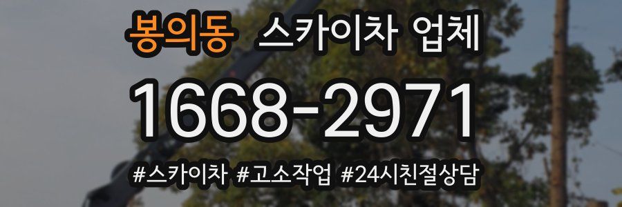 봉의동 스카이차 업체