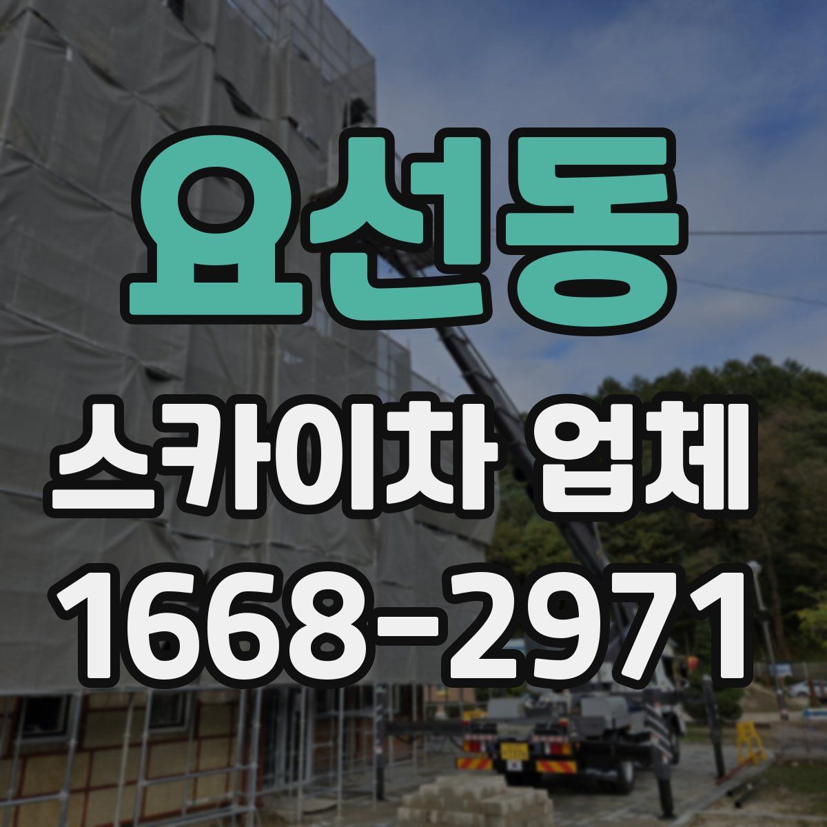 요선동 스카이차 업체