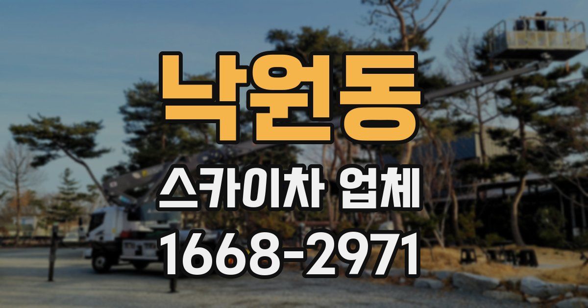 낙원동 스카이차 업체