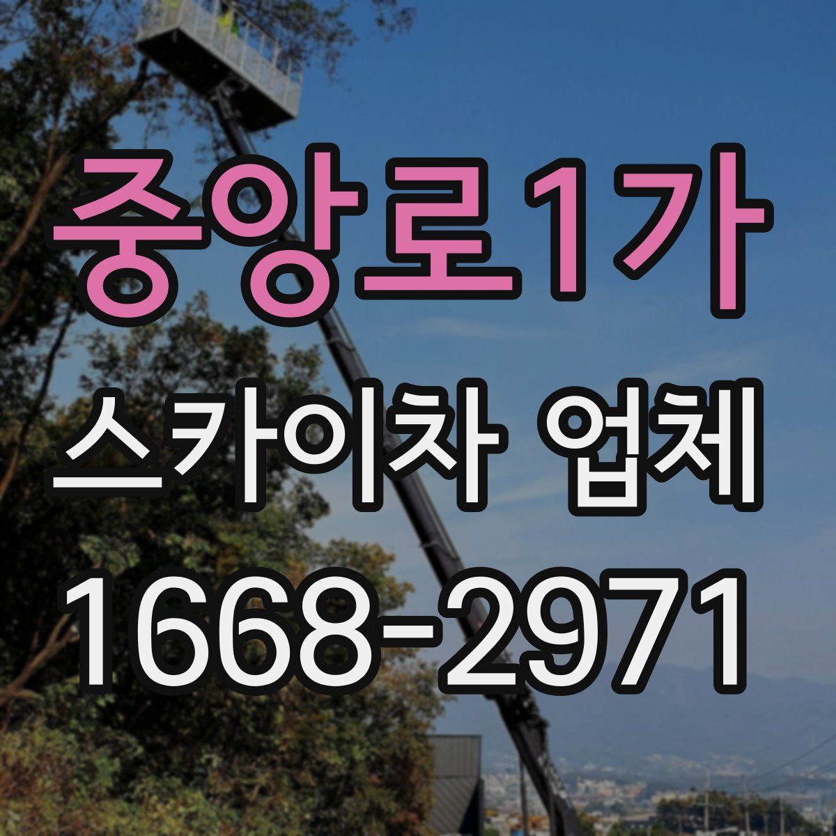 중앙로1가 스카이차 업체