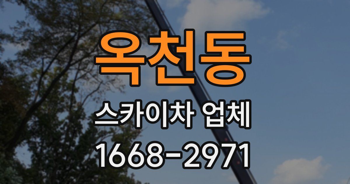 옥천동 스카이차 업체