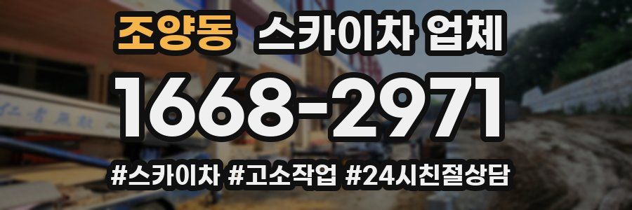 조양동 스카이차 업체