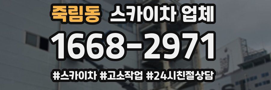 죽림동 스카이차 업체