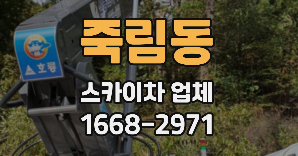 죽림동 스카이차 업체