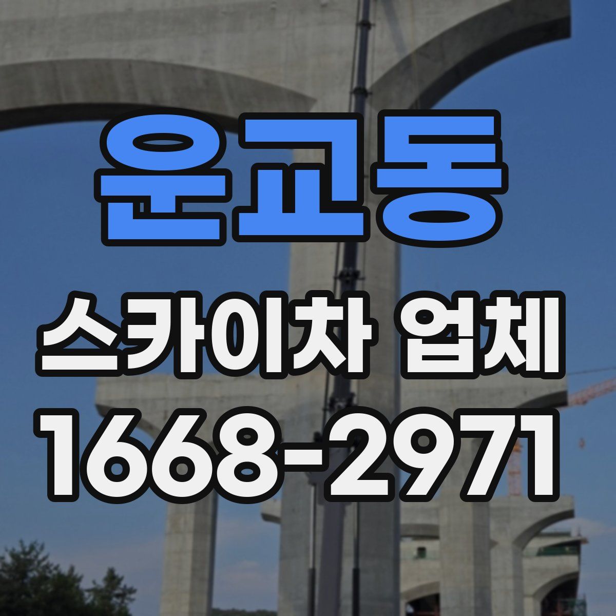 운교동 스카이차 업체