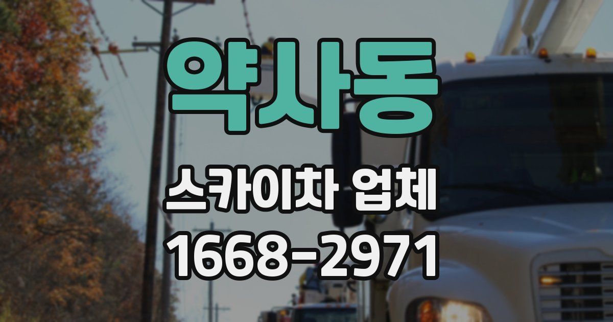 약사동 스카이차 업체