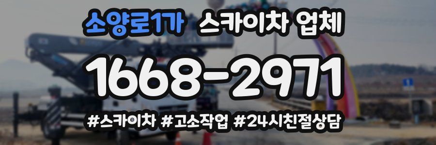 소양로1가 스카이차 업체