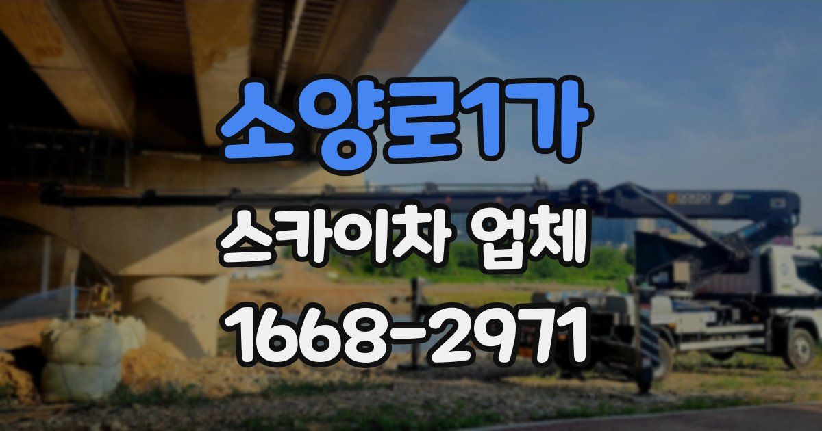 소양로1가 스카이차 업체