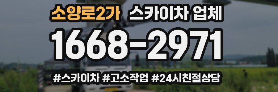 소양로2가 스카이차 업체