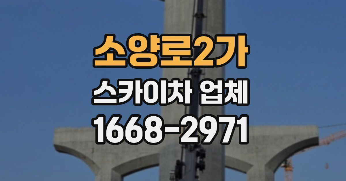 소양로2가 스카이차 업체