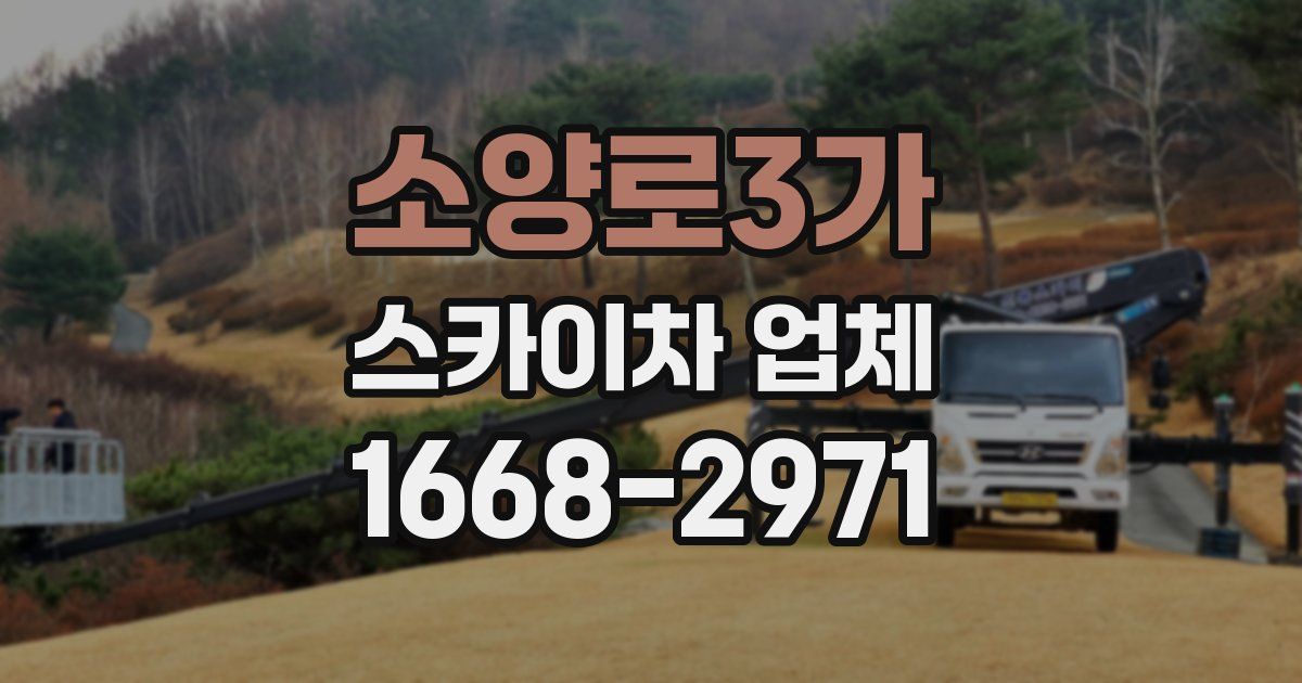 소양로3가 스카이차 업체