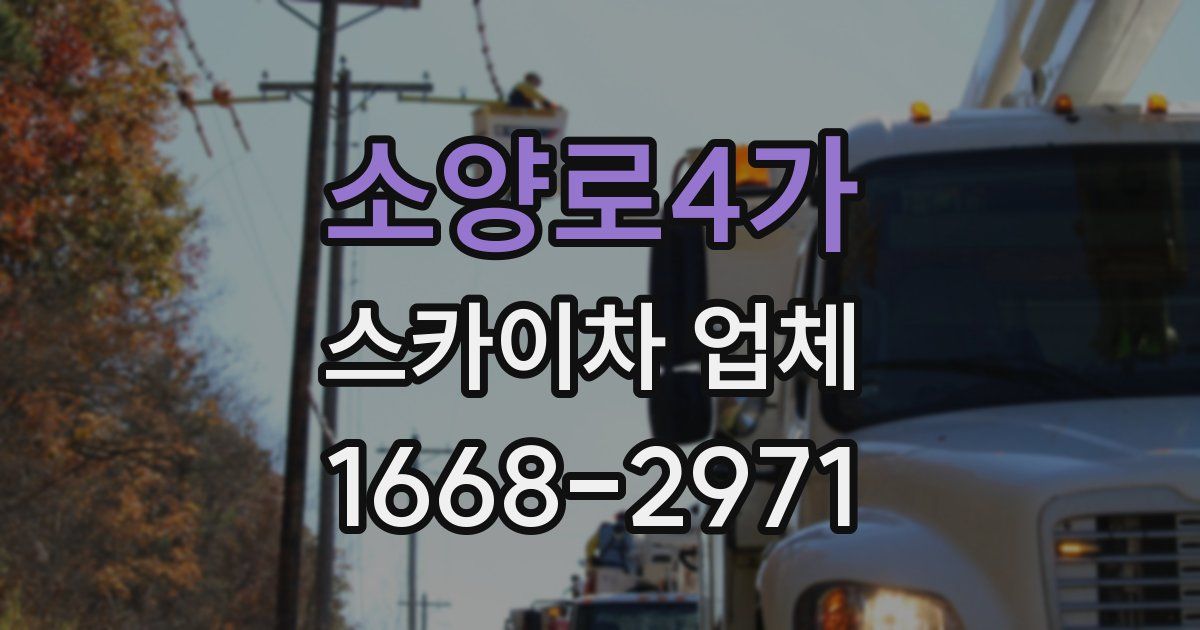소양로4가 스카이차 업체