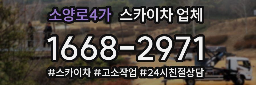 소양로4가 스카이차 업체