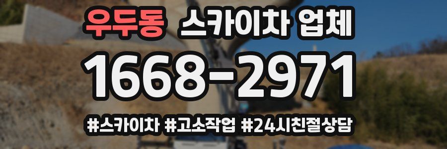 우두동 스카이차 업체