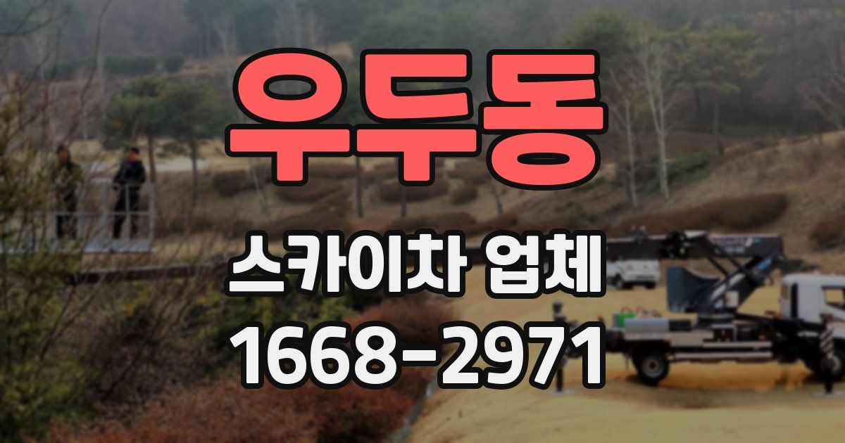 우두동 스카이차 업체
