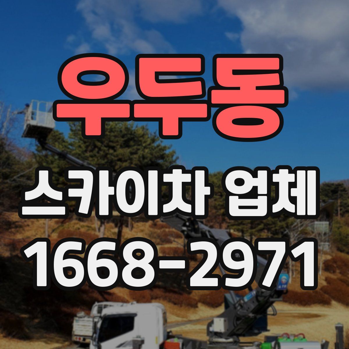 우두동 스카이차 업체