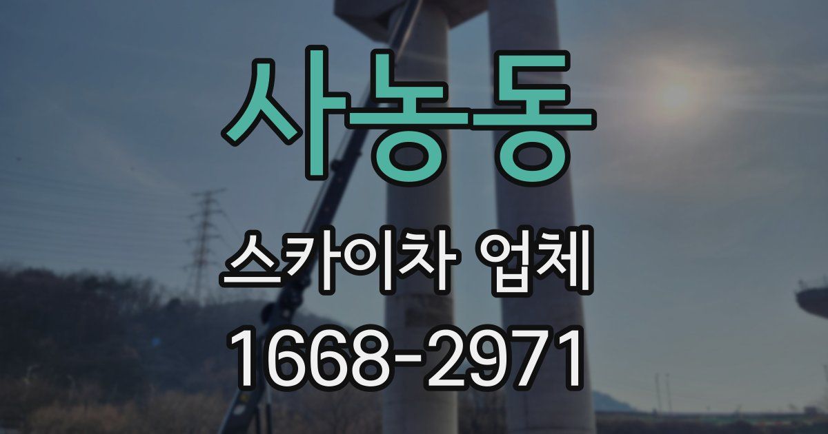 사농동 스카이차 업체
