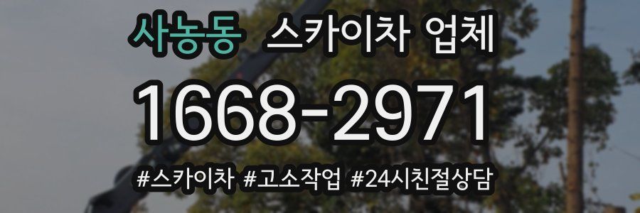 사농동 스카이차 업체