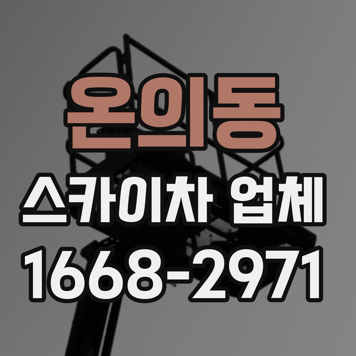 온의동 스카이차 업체